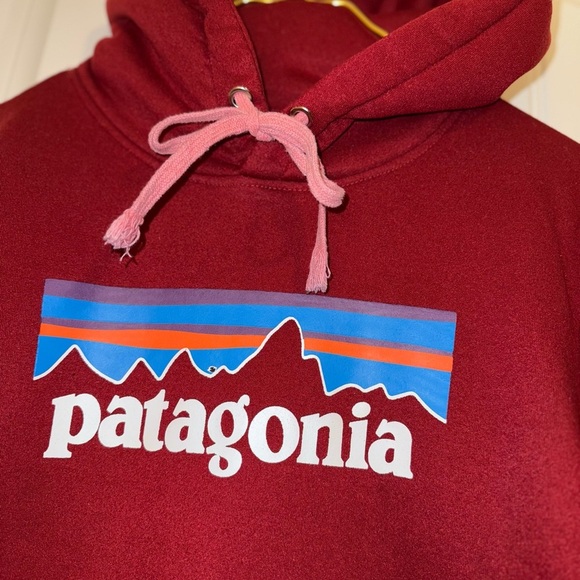 Patagonia Red Fleece Sweater with Hood - Picture 10 of 14